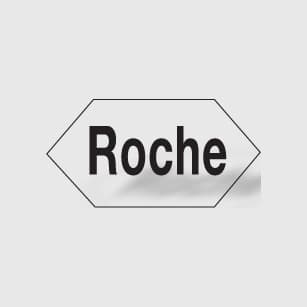 Roche logosu